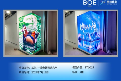 天門武漢***城安裝調(diào)試完畢